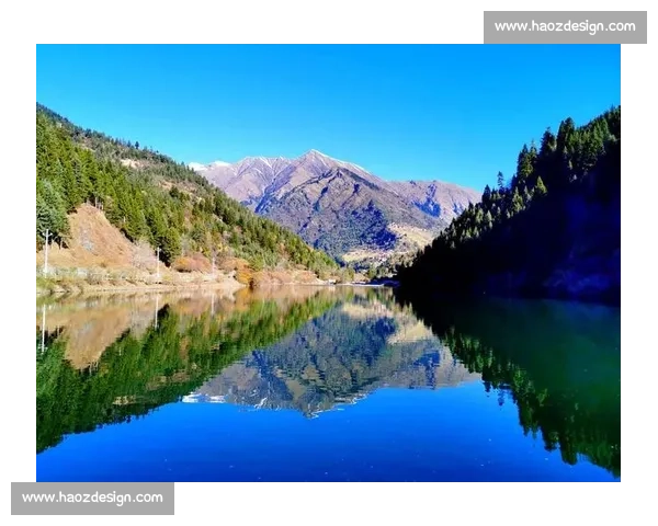 猿人vs未来科技文明的生存对决与进化之路探索人类命运终极想象